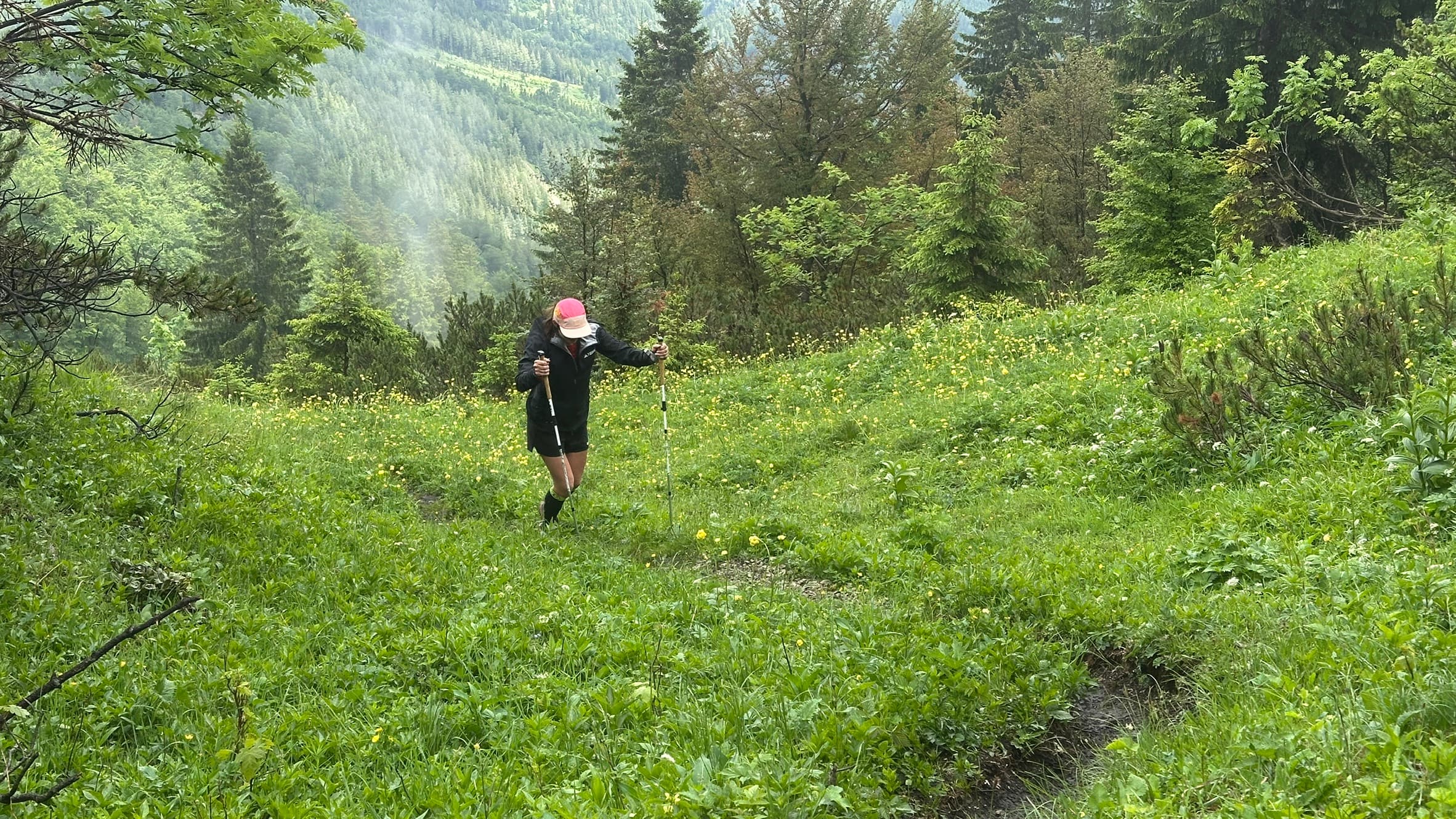 51km, 2200 Höhenmeter, ein Bergmarathon am Ötscher